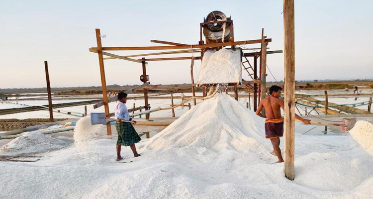 今年预计孟邦4241.9英亩日晒盐田产42510吨盐