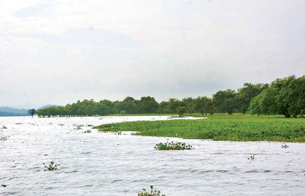 茵都基湖是伊洛瓦底江栖息鱼类们的良好产卵繁衍后代的地区