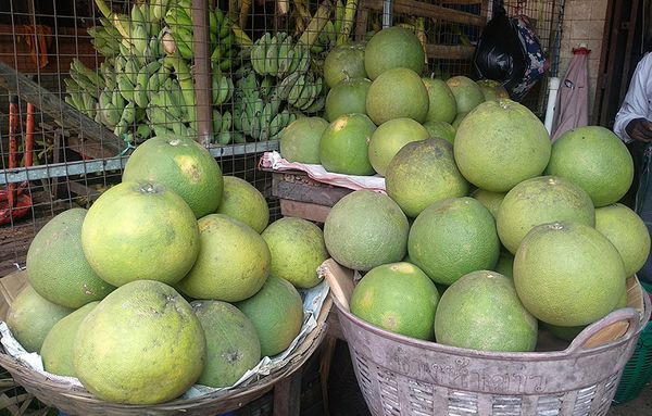 缅甸国内采用Global GAP制度种植热带水果柚子