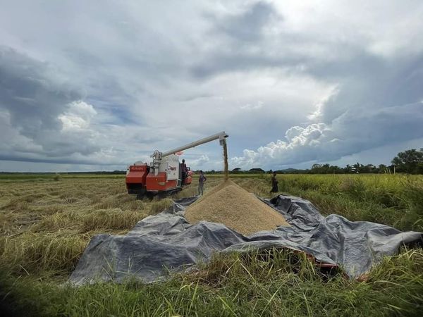 丹麦捐赠380万美元帮助缅甸农民
