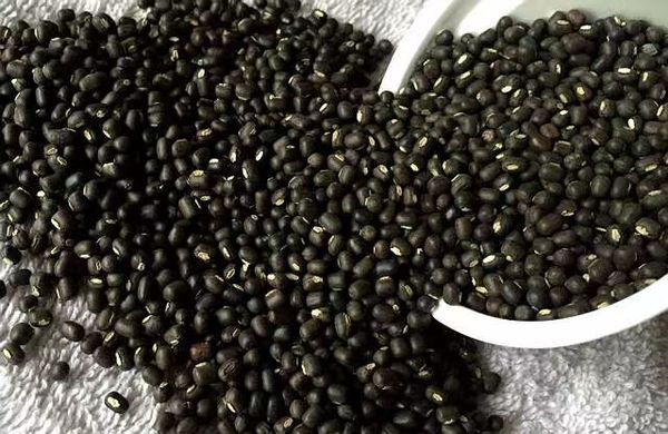 实皆省种植了冬作物黑麦豆16万多英亩