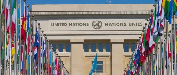 “中方投了赞成票”