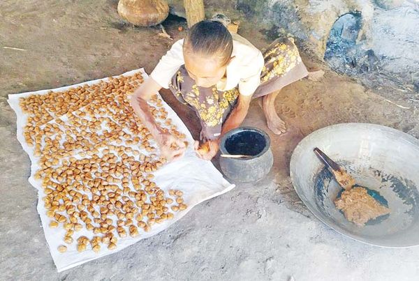 曼德勒省密铁拉地区棕榈糖价1缅斤到达3000缅元