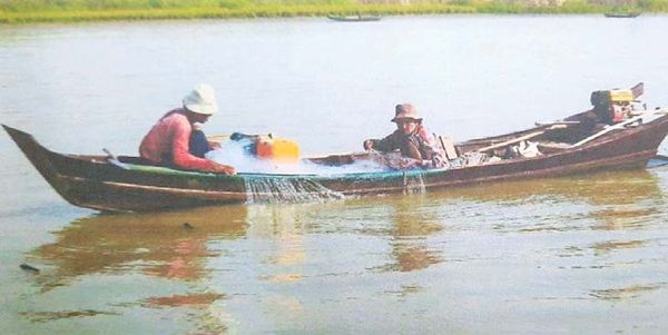 若开邦地区为维护鲥鱼品种划定了有关维护区域