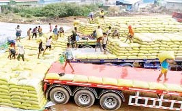 平地与山区的玉米都进入了曼德勒的市场