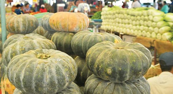 仰光省德茵贡大宗瓜果蔬菜市场交易热络