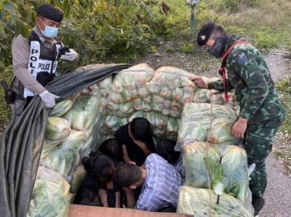 前往曼谷的一辆货车中抓获15名缅甸偷渡客