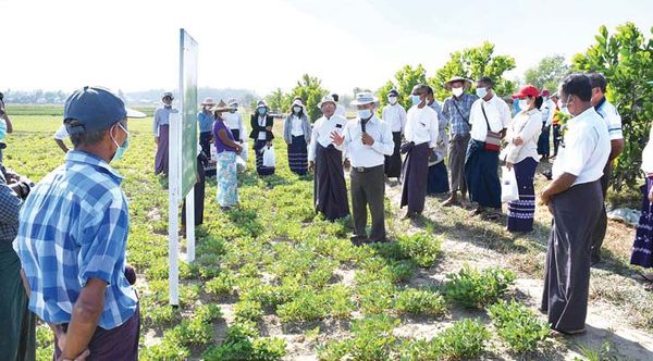 伊洛瓦底省政府庆祝60周年农民节