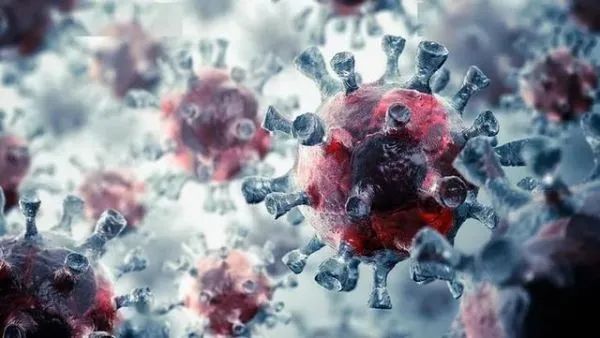 双毒合一！“德尔塔克戎”变体首次证实