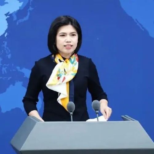 正式考虑制定“祖国统一法”？国台办回应