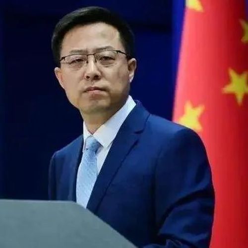 赵立坚：美 式 双 标