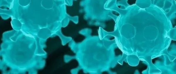 中国媒体“造谣”世卫组织的疫情报告？学好英语确实很重要….