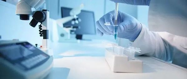 俄罗斯已经查明！