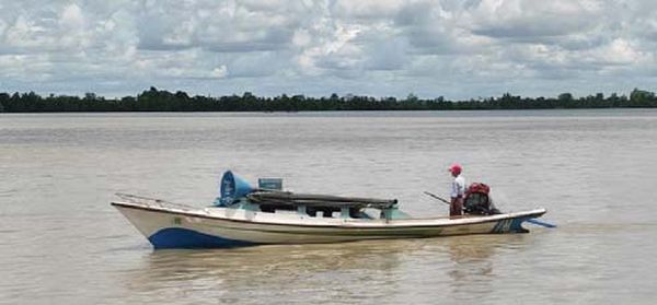 伊洛瓦底省呼吁维护鱼类水产资源