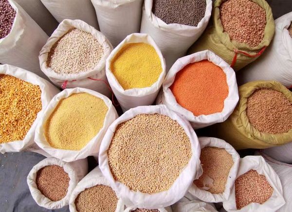 新财政年度一个半月缅甸出口豆类创汇1.69亿美元