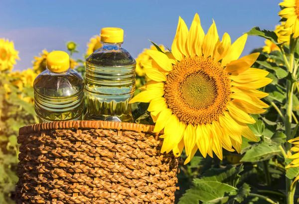 本财政年度勃固省将扩大种植油料作物