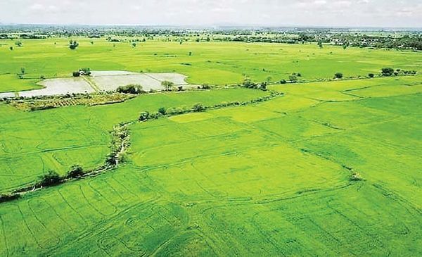 曼德勒省色都基水坝将为夏季稻提供水源至6月15日