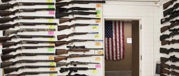 不是段子：“应与枪支共存”