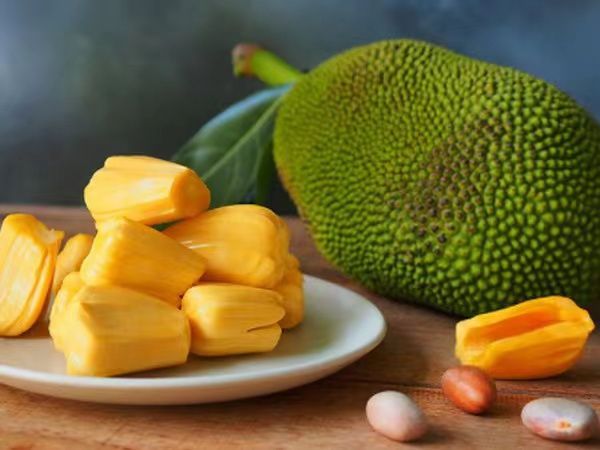 孟邦出产的热带水果菠萝蜜获得好价钱