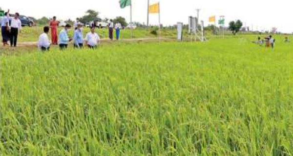 内比都地区的水利工程建设情况
