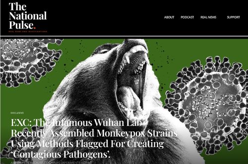 邪教、民进党、美国和猴痘病毒