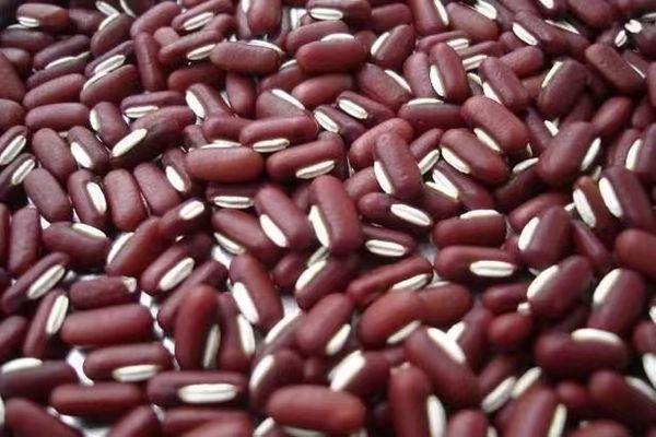 获得国外买家垂青缅甸国内饭豆热销