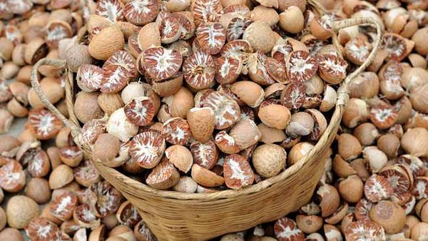 缅甸槟榔行情因印度和中国需求而看好