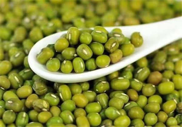 马奎省色漂县区绿豆价钱获得了好价钱