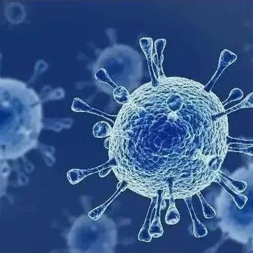 奥密克戎又变异！多国已出现！