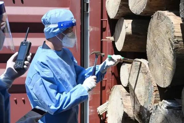 风声｜常温下物体表面病毒活不过1天，带来什么防疫新思维