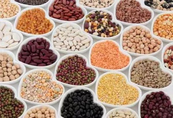 实皆省瑞帽专区今年雨季三大豆类种植面积已达22多万英亩