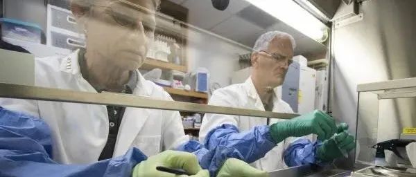 他们无视美政府打压，坚持对华合作