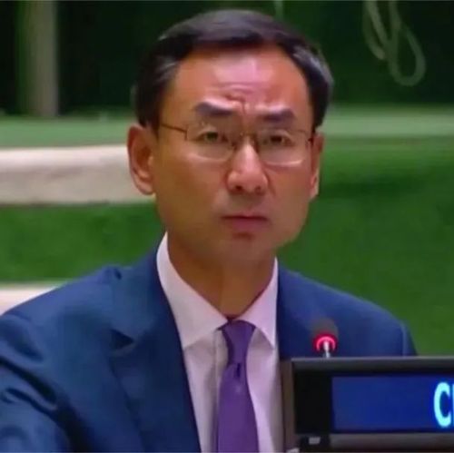 中国代表：个别执笔国选择性失明，建议系统性调整