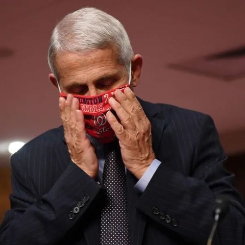 福奇：未来或需每年接种新冠疫苗，像流感疫苗一样