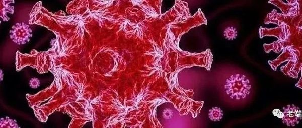 新冠灾难，这是洋人傲慢的代价