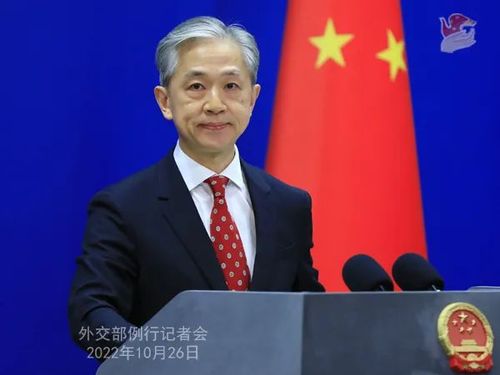 中国设“国外警察站”？外交部：不实，其实是涉侨事务海外服务站