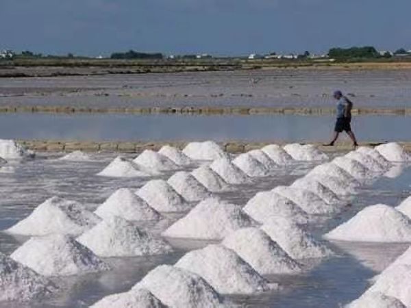 孟邦盐市场的盐价变化情况