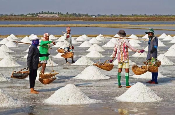 伊洛瓦底省海基遵日晒盐生产情况