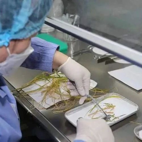 地球人首次，中国做到了！