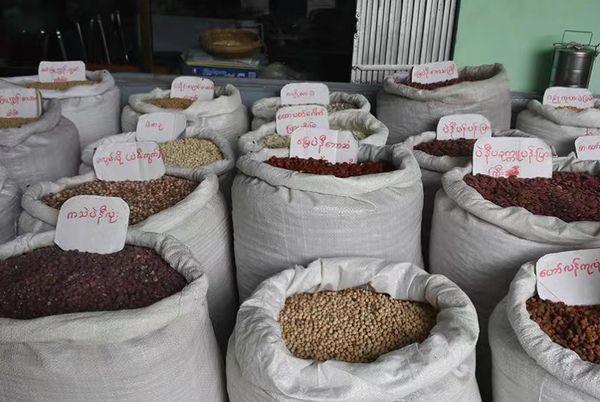 现财政年度8个月内缅甸已向国外出口8亿美元的豆类