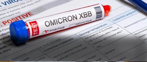 美媒：新变种已成美国头号毒株