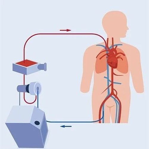 刚刚发布！“获批上市”