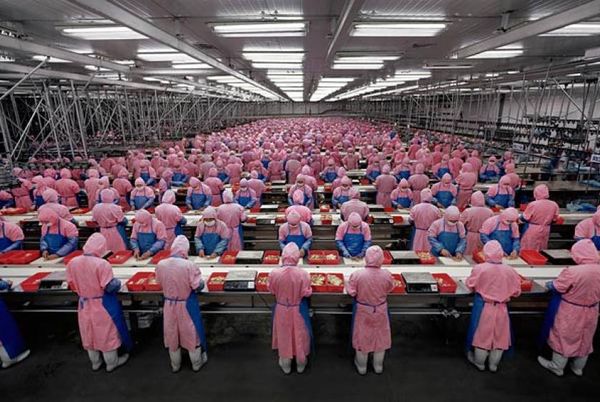 312家日本企业将再聘千余名缅甸工人