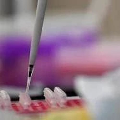 新冠研究：味嗅觉出现变化，很可能是病毒入侵神经系统