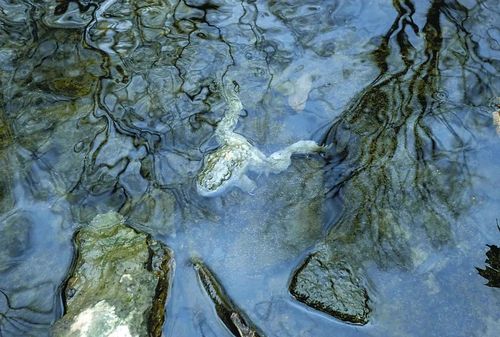 “这不是意外！”