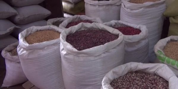 本财政年度9个月缅甸豆类出口达到9.6亿美元