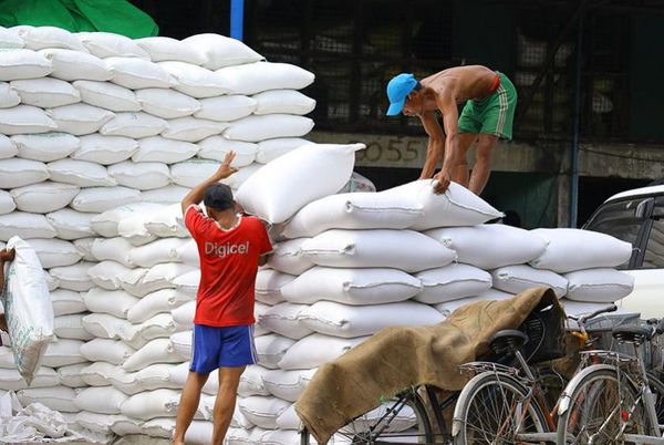 今年1月份泰国大米出口比去年同期增加75%