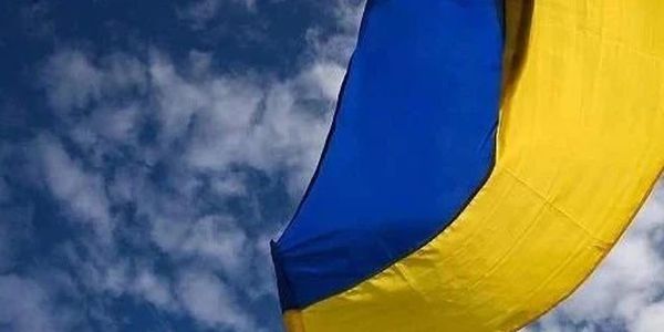 德国专家：中国方案更有成功希望