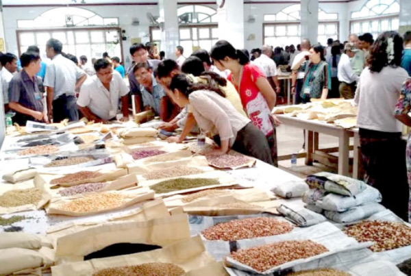 泼水节后曼德勒市场上准备出口中国的各种豆类都在热销之中