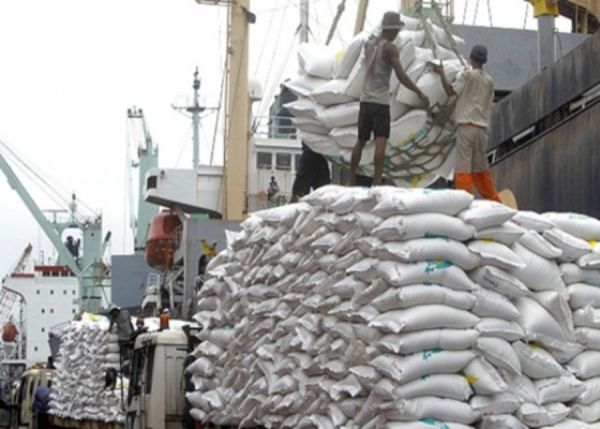 2023—24财政年度开局半个月缅甸大米碎米出口情况